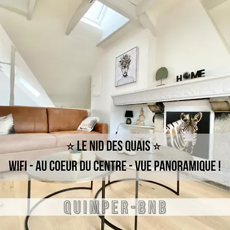 Le Nid Des Quais - Vue Panoramique Au Coeur De La - Wifi - Entree Autonome דירה קמפר